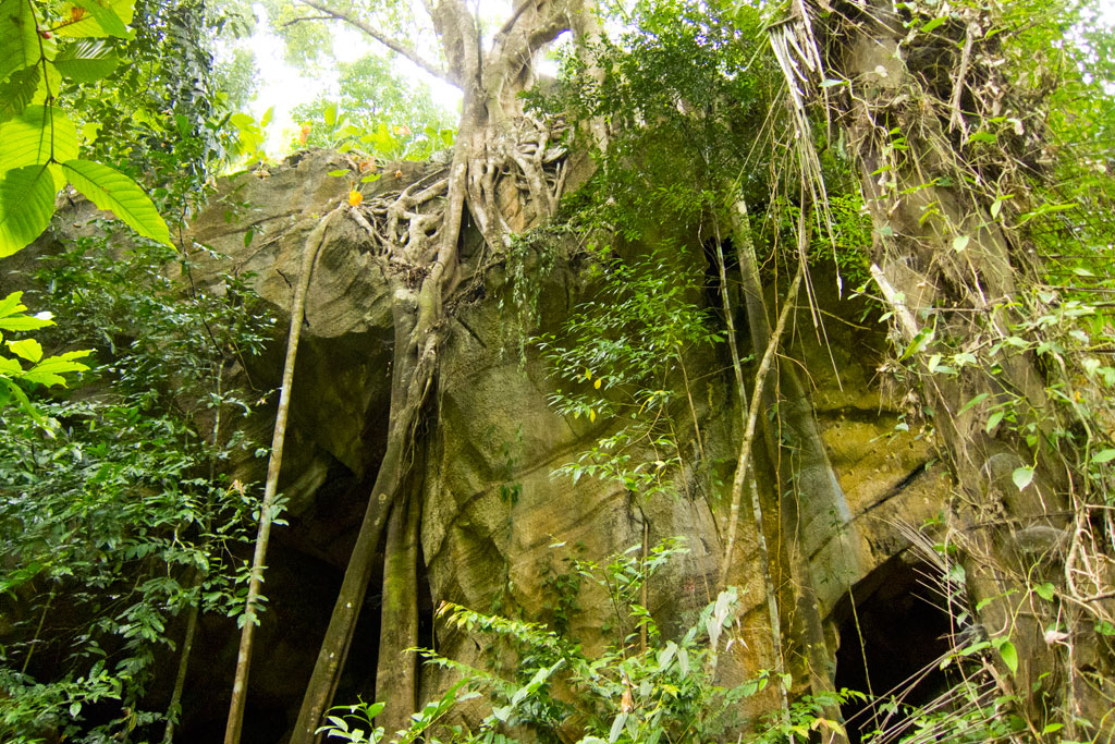 Dschungel im Landesinneren von Ko Lanta – Thailändische Inseln | SOMEWHERE ELSE