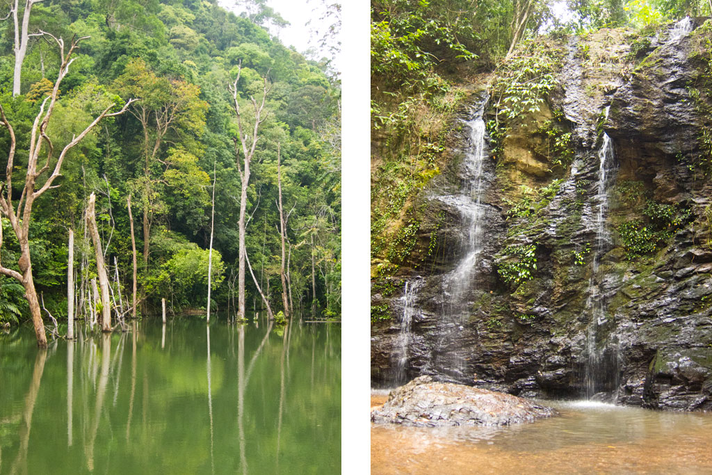 Dschungel im Landesinneren von Ko Lanta – Thailändische Inseln | SOMEWHERE ELSE