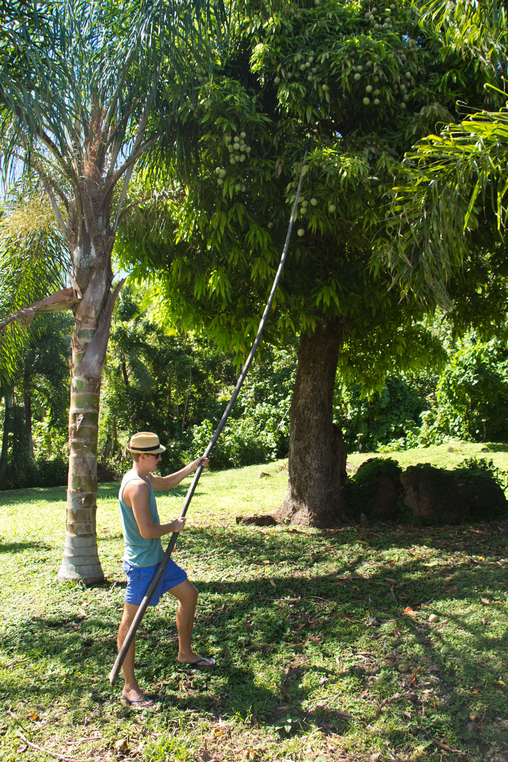 Aitutaki Lagoon Cruise – Mangoernte | SOMEWHERE ELSE