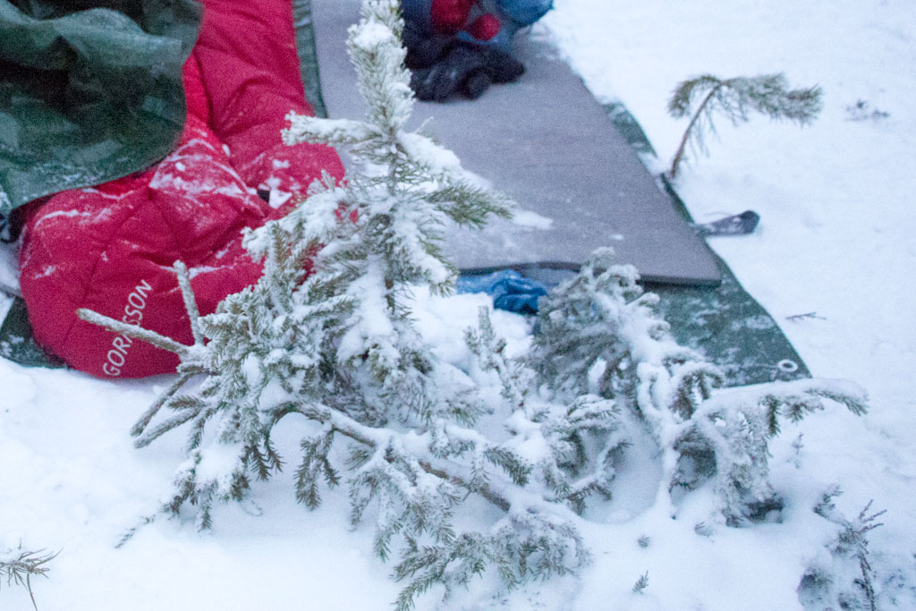 Mit Schlittenhunden durch Schwedens Winterlandschaft – Lager für die Nacht | SOMEWHERE ELSE
