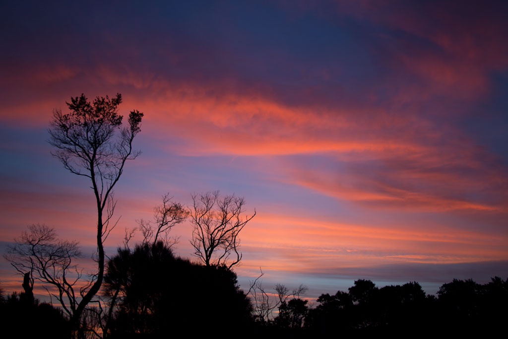 Australische Tierwelt – Sonnenuntergang im Wilsons Promontory Nationalpark | SOMEWHERE ELSE