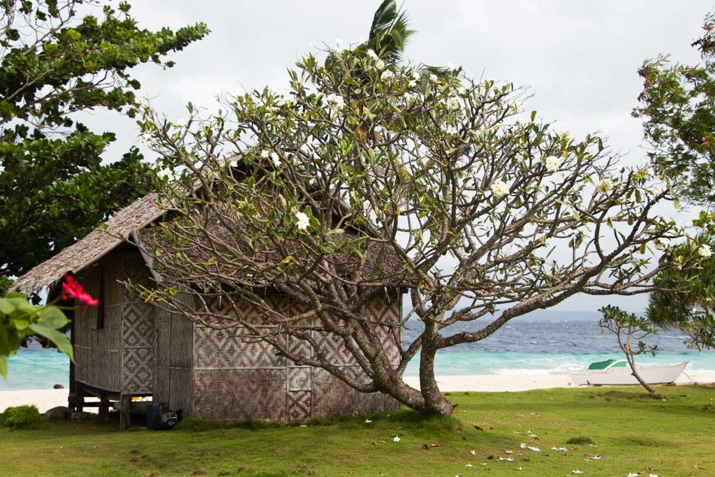 Pamilacan Island – Bambushütte am Strand | SOMEWHERE ELSE