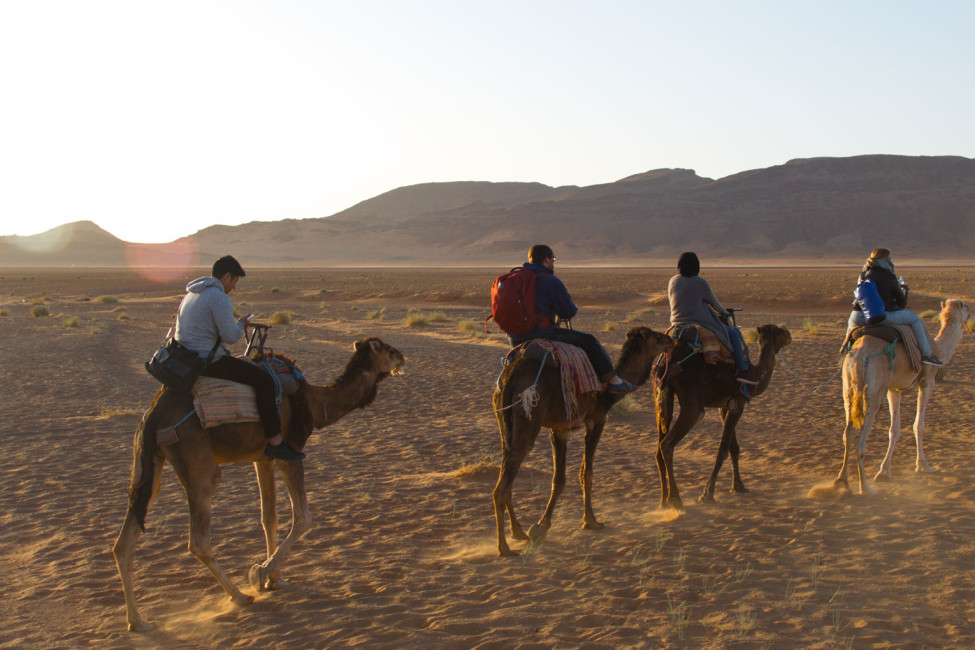 Marokko Trip – Wüste von Zagora – Digitale Nomaden reiten Kamele | SOMEWHERE ELSE