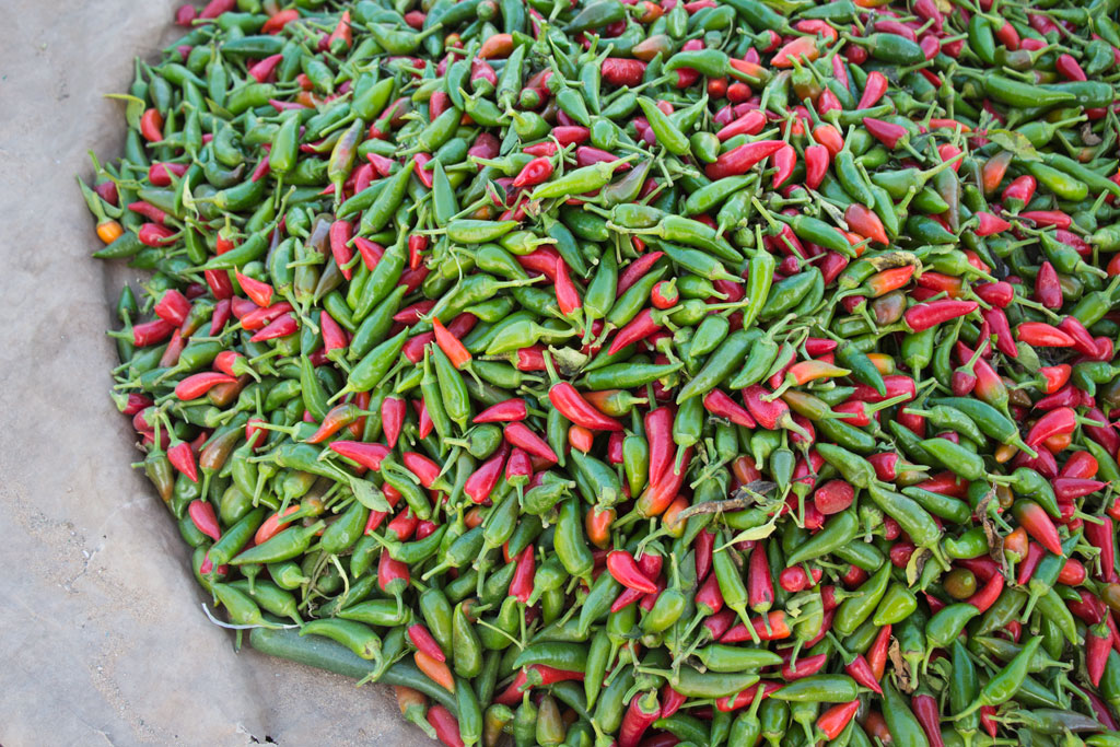 Marokkanische Gerichte – Rote und grüne Chili auf dem Markt in Aourir | SOMEWHERE ELSE