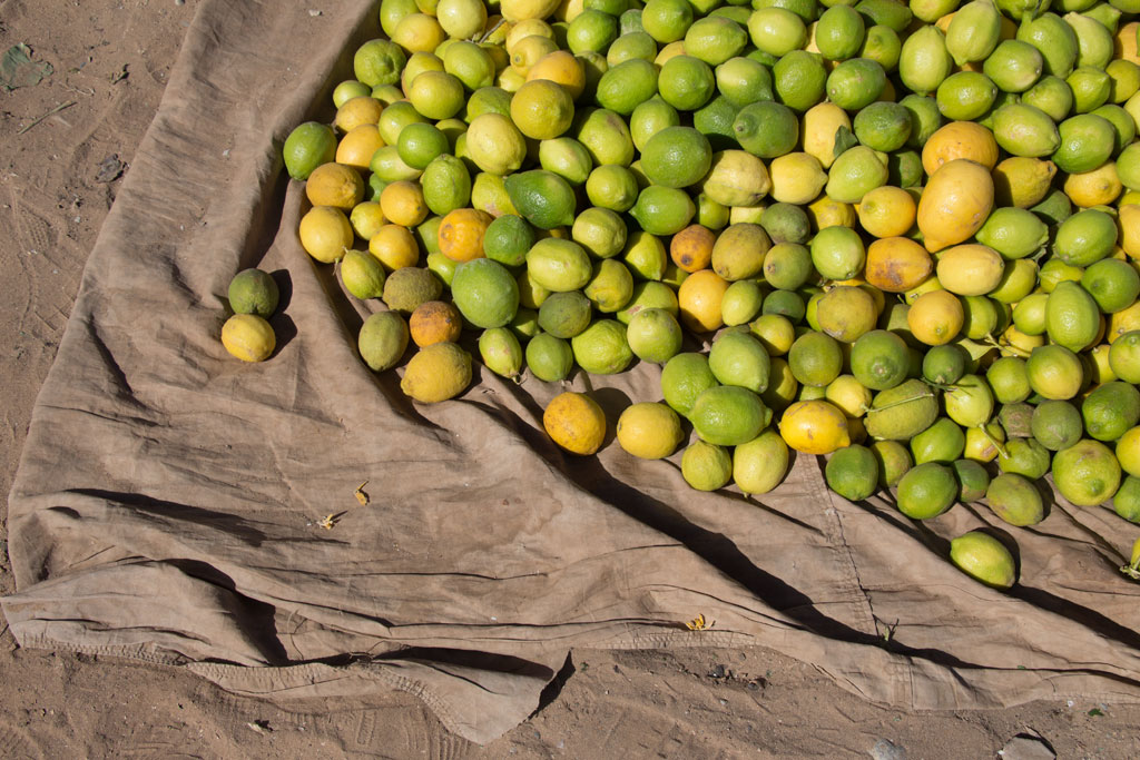 Marokkanische Gerichte – Zitronen auf dem Markt in Aourir | SOMEWHERE ELSE