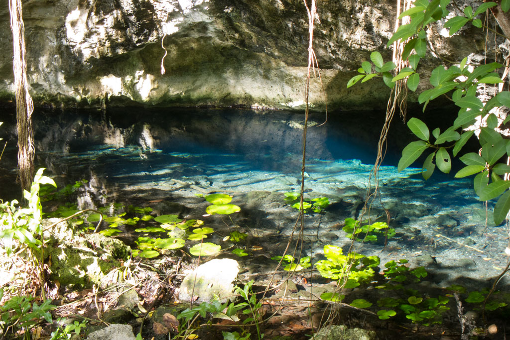 Tauchen in Mexiko – Cenote Dos Ojos | SOMEWHERE ELSE