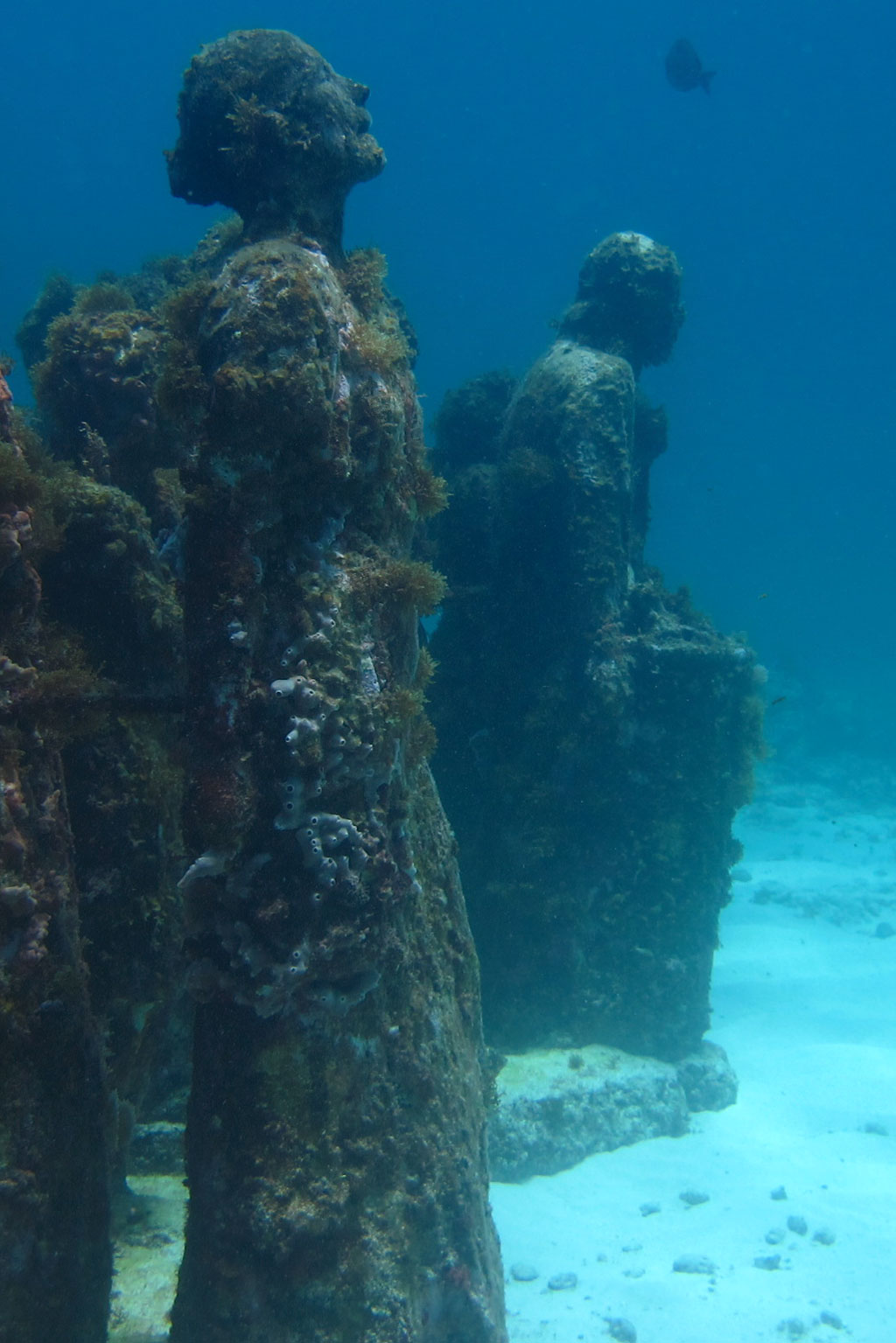 Tauchen in Mexiko – MUSA Unterwassermuseum Silent Evolution | SOMEWHERE ELSE