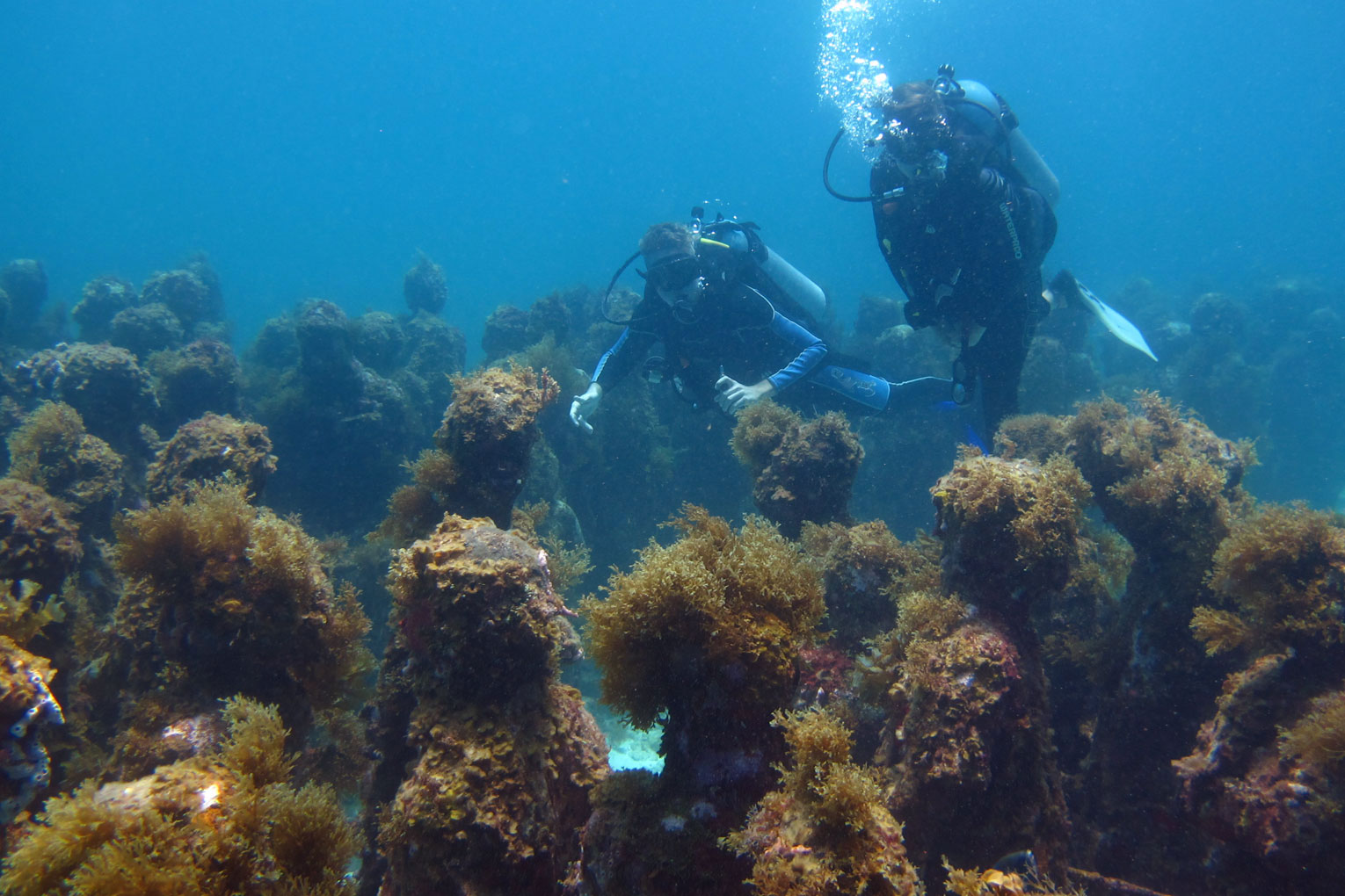 Tauchen in Mexiko – MUSA Unterwassermuseum Silent Evolution | SOMEWHERE ELSE