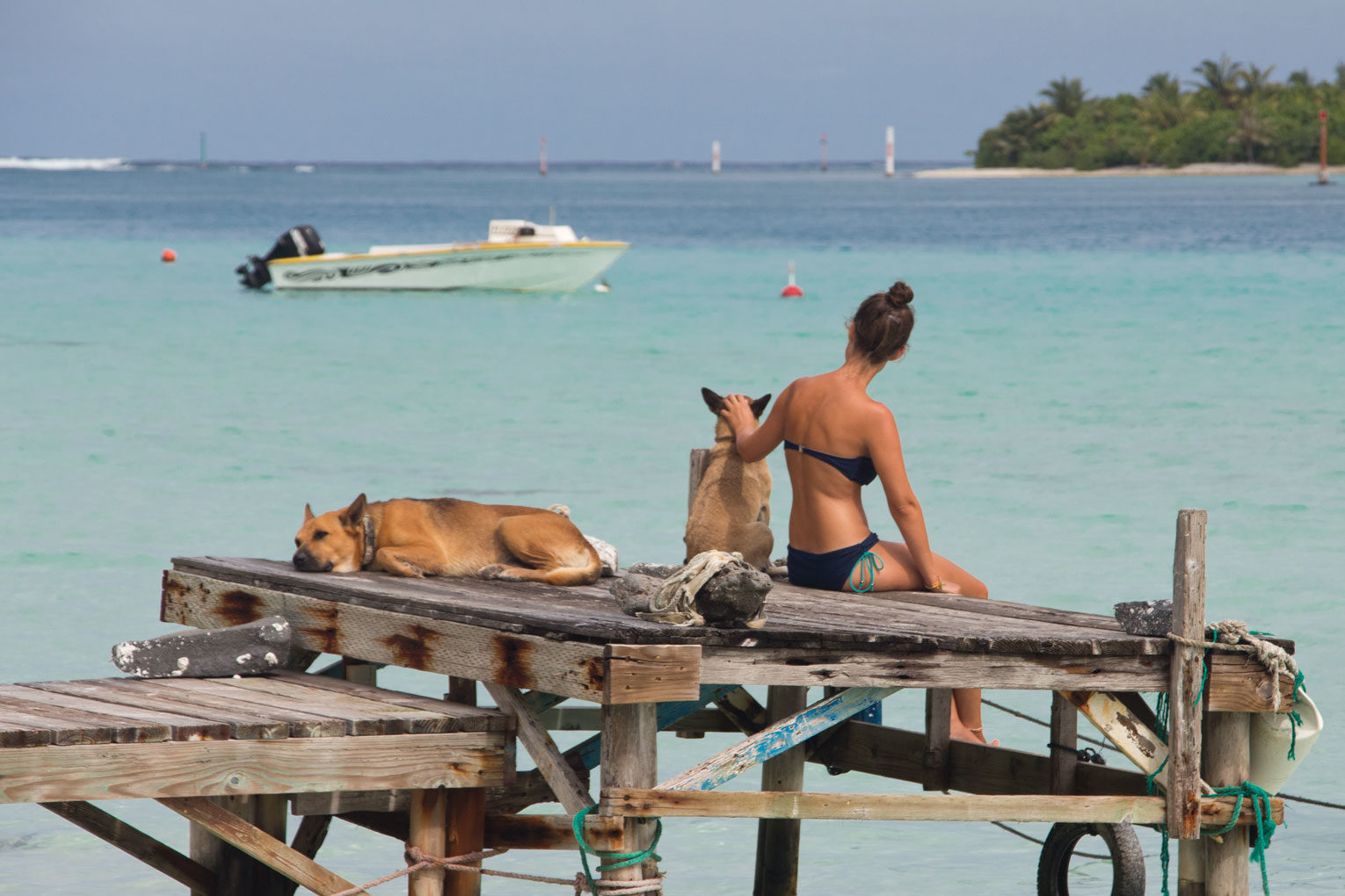 Reiseerfahrungen Momente – Mit Hunden auf Bootssteg in Französisch Polynesien | SOMEWHERE ELSE