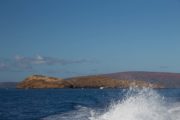 Maui Hawaii Tipps für Entdecker: Tauchen, Surfen, Dschungel und Vulkan