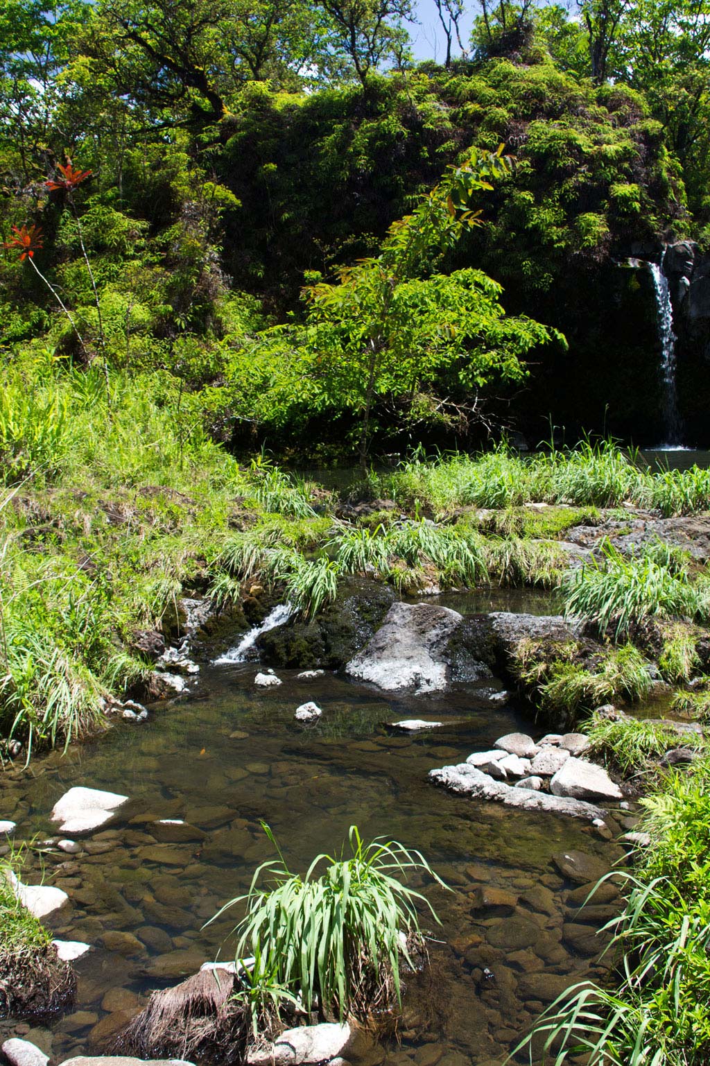 Maui Hawaii – Puaa Kaa Fall Wasserfall an der Road to Hana | SOMEWHERE ELSE